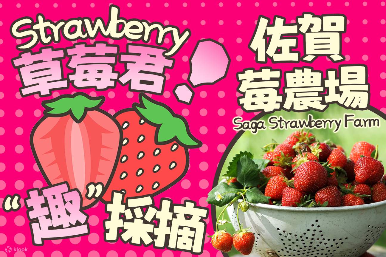 One-day strawberry picking tour in Saga, Kyushu | Arita Ceramic